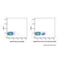 Recombinant CD19 Antibody (AF660) 