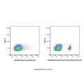 Recombinant CD19 Antibody (PE-Cy5)