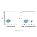 Recombinant CD19 Antibody (APC)