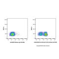 Recombinant CD3 Antibody (AF405)
