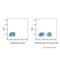 Recombinant CD3 Antibody (AF488)