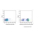 Recombinant CD3 Antibody (AF555)