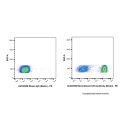 Recombinant CD3 Antibody (Biotin)