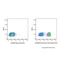 Recombinant CD3 Antibody (FITC)