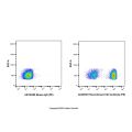 Recombinant CD3 Antibody (PE) 