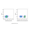Recombinant CD3 Antibody (APC) 