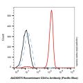 Recombinant CD41a Antibody (Pacific Blue)
