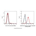 Recombinant IL-2 Receptor alpha/CD25 Antibody (AF405)