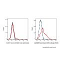 Recombinant CD25 Antibody (AF405) 