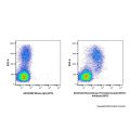 Recombinant Thrombomodulin/CD141 Antibody (APC)