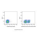 Recombinant CD5 Antibody (AF405)