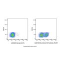 Recombinant CD5 Antibody (PerCP) 
