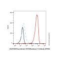 Recombinant CD138/Syndecan-1 Antibody (AF405)