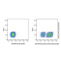 Recombinant CD24 Antibody (AF405)