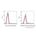 Recombinant CD103 Antibody (AF488)