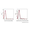 Recombinant CD103 Antibody (AF647)