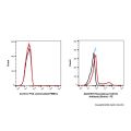 Recombinant CD103 Antibody (Biotin)