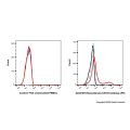 Recombinant CD103 Antibody (PE)