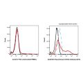 Recombinant CD103 Antibody (APC)