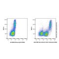 Recombinant CD31 Antibody (AF488)