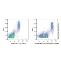 Recombinant CD31 Antibody (AF594)