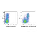 Recombinant CD31 Antibody (AF750)