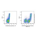 Recombinant CD31 Antibody (Biotin)