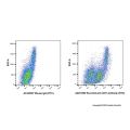Recombinant CD31 Antibody (FITC)