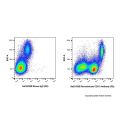 Recombinant CD31 Antibody (PE) 