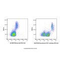 Recombinant CD31 Antibody (PE-Cy5) 