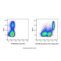 Recombinant CD31 Antibody (APC) 