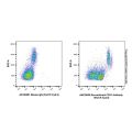 Recombinant CD31 Antibody (PerCP-Cy5.5)