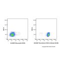 Recombinant CD45.2 Antibody (AF405)