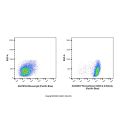 Recombinant CD45.2 Antibody (Pacific Blue)
