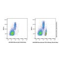 Recombinant CD4 Antibody (Pacific Blue)