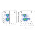 Recombinant c-Kit Antibody (APC)
