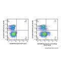 Recombinant c-Kit Antibody (PerCP-Cy5.5)