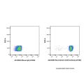 Recombinant CD45 Antibody (AF488)