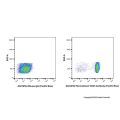 Recombinant CD45 Antibody (Pacific Blue)