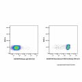 Recombinant CD45 Antibody (PE-Cy7)