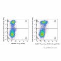 Recombinant F4/80 Antibody (AF405)