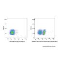 Recombinant CD19 Antibody (Pacific Blue)