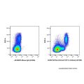 Recombinant CD11c Antibody (AF405)