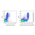 Recombinant CD11c Antibody (AF594)
