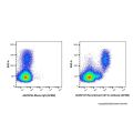 Recombinant CD11c Antibody (AF660)