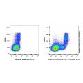 Recombinant CD11c Antibody (FITC)