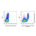Recombinant CD11c Antibody (Pacific Blue)