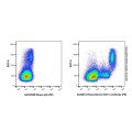Recombinant CD11c Antibody (PE)