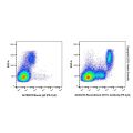 Recombinant CD11c Antibody (PE-Cy5)