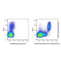 Recombinant CD11c Antibody (PE-Cy7)